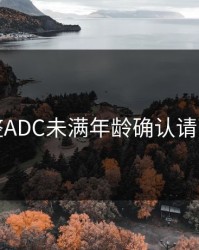 完整ADC未满年龄确认请离开