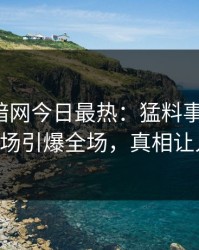 爆料网暗网今日最热：猛料事件曝光，大V现场引爆全场，真相让人瞠目