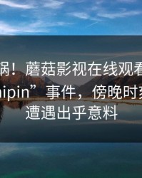 全网炸锅!蘑菇影视在线观看惊现“mogushipin”事件,傍晚时刻当事人遭遇出乎意料