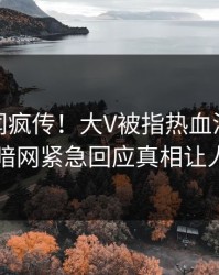 最新秘闻疯传！大V被指热血沸腾，爆料网暗网紧急回应真相让人瞠目
