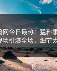 爆料网暗网今日最热：猛料事件曝光，大V现场引爆全场，细节太炸裂