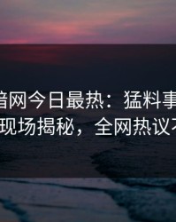 爆料网暗网今日最热：猛料事件曝光，大V现场揭秘，全网热议不断