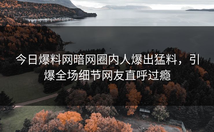 今日爆料网暗网圈内人爆出猛料，引爆全场细节网友直呼过瘾