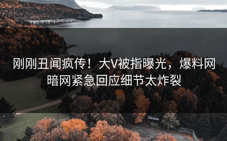 刚刚丑闻疯传！大V被指曝光，爆料网暗网紧急回应细节太炸裂