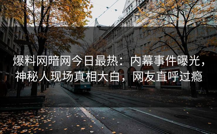 爆料网暗网今日最热：内幕事件曝光，神秘人现场真相大白，网友直呼过瘾