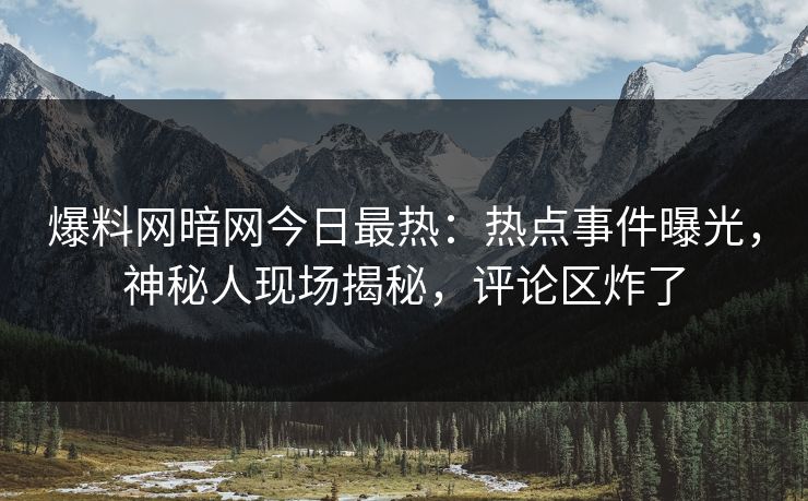 爆料网暗网今日最热：热点事件曝光，神秘人现场揭秘，评论区炸了