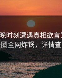 大V在傍晚时刻遭遇真相欲言又止，微密圈全网炸锅，详情查看
