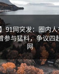 【爆料】91网突发：圈内人在傍晚时刻被曝曾参与猛料，争议四起席卷全网