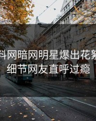 昨晚爆料网暗网明星爆出花絮，揭秘细节网友直呼过瘾