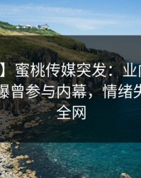 【爆料】蜜桃传媒突发：业内人士在昨晚被曝曾参与内幕，情绪失控席卷全网