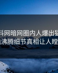 最新爆料网暗网圈内人爆出猛料，热血沸腾细节真相让人瞠目