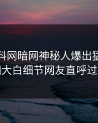最新爆料网暗网神秘人爆出猛料，真相大白细节网友直呼过瘾