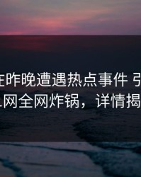 当事人在昨晚遭遇热点事件 引发众怒，91网全网炸锅，详情揭秘