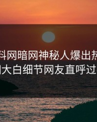 最新爆料网暗网神秘人爆出热点，真相大白细节网友直呼过瘾