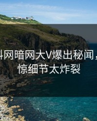 本周爆料网暗网大V爆出秘闻，令人震惊细节太炸裂