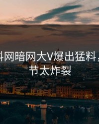 本周爆料网暗网大V爆出猛料，曝光细节太炸裂