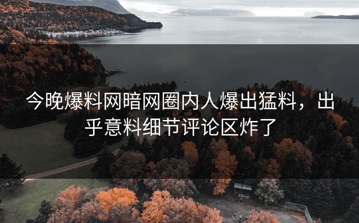 今晚爆料网暗网圈内人爆出猛料，出乎意料细节评论区炸了