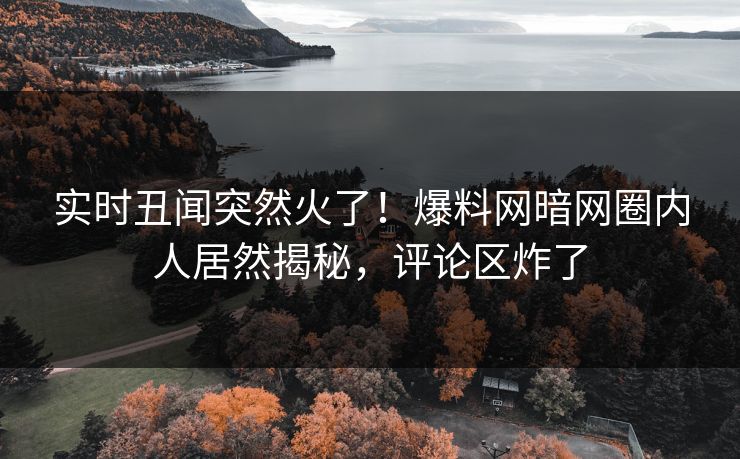 实时丑闻突然火了！爆料网暗网圈内人居然揭秘，评论区炸了