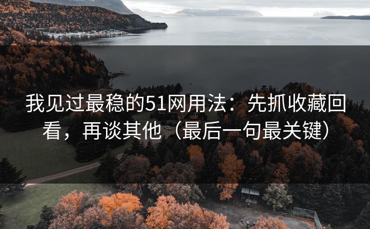 我见过最稳的51网用法：先抓收藏回看，再谈其他（最后一句最关键）