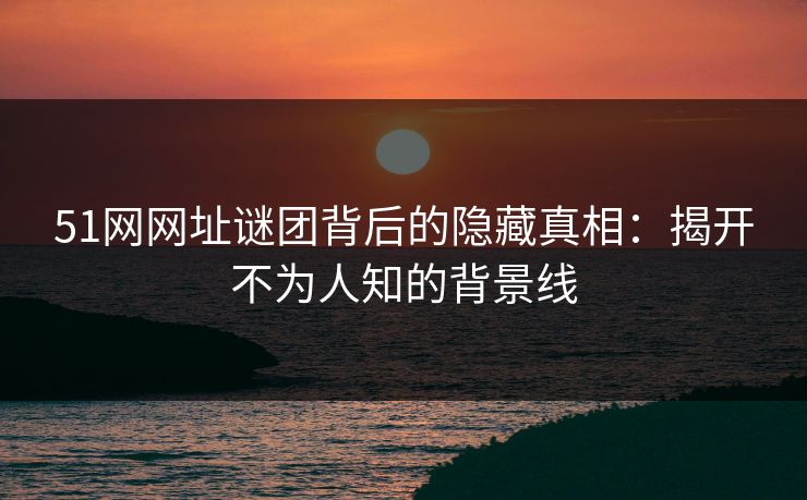 51网网址谜团背后的隐藏真相：揭开不为人知的背景线